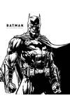 BATMAN LA HISTORIA VISUAL