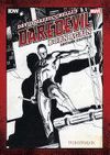 DAVID MAZZUCCHELLI'S DAREDEVIL BORN AGAIN ARTISAN EDITION