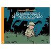 LES TRIBULATIONS DE TINTIN AU CONGO