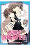 JUNJOU ROMANTICA