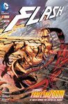 FLASH NÚM. 12