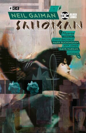 BIBLIOTECA SANDMAN VOL. 14: MUERTE (SEGUNDA EDICI?