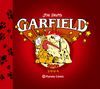 GARFIELD 2002-2004 Nº13