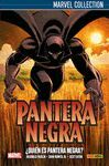 PANTERA NEGRA DE HUDKIN 1: ¿QUIEN ES PANTERA NEGRA